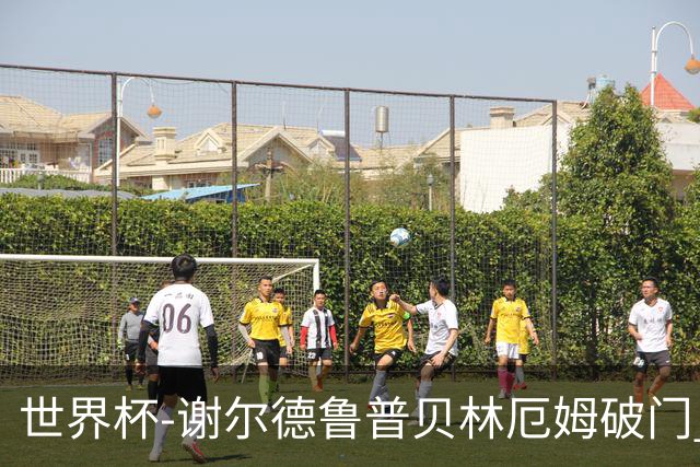世界杯-谢尔德鲁普贝林厄姆破门 挪威半场暂1-1英格兰