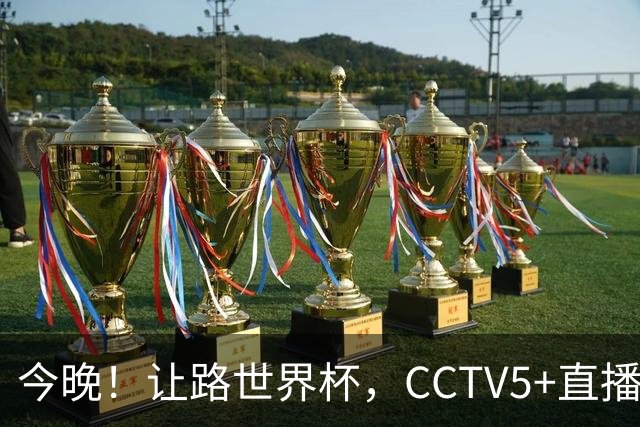 今晚！让路世界杯，CCTV5+直播中国女排VS法国，小将领衔冲击5连胜