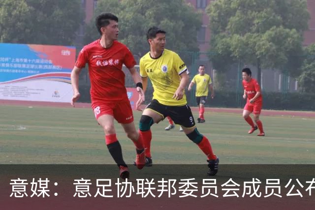 意媒：意足协联邦委员会成员公布，马洛塔和基耶利尼等人全员留任