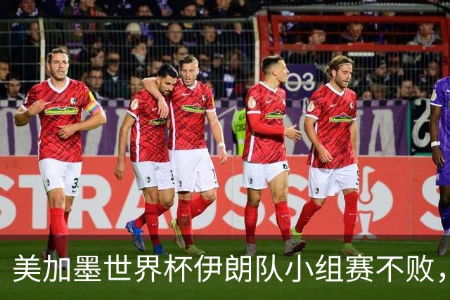 美加墨世界杯伊朗队小组赛不败，韩国队命悬一线