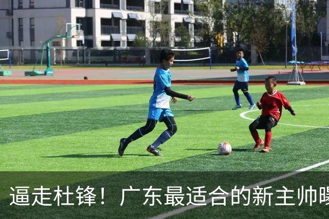 逼走杜锋！广东最适合的新主帅曝光，宏远“三王牌”全部打出来了